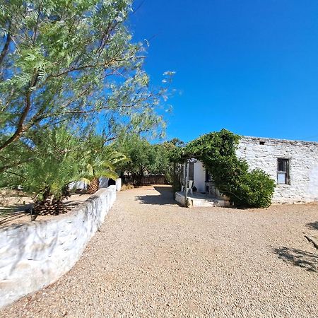 Olive grove cottage Koringberg Exteriör bild