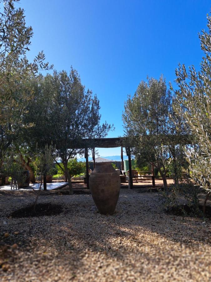 Olive grove cottage Koringberg Exteriör bild